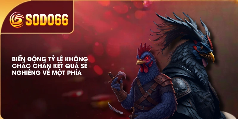Soi Kèo Đá Gà SODO66 | Xem Phong Độ, Thể Trạng, Biến Động 3 Biến động tỷ lệ không chắc chắn kết quả sẽ nghiêng về một phía