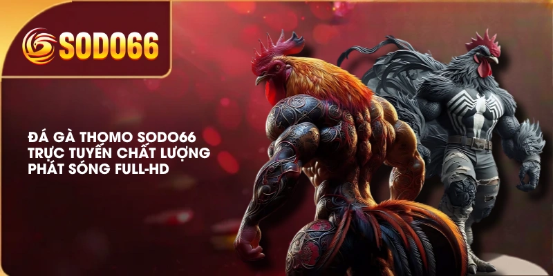 Đá Gà Thomo SODO66 Trực Tuyến Chất Lượng, Phát Sóng Full-HD 1 Đá Gà Thomo SODO66 Trực Tuyến Chất Lượng, Phát Sóng Full-HD
